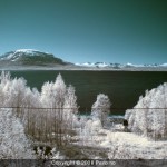 20080608-1515_dsc_4992_resized_color_space_swapped_adjusted_resized_480