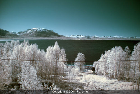 20080608-1515_dsc_4992_resized_color_space_swapped_adjusted_resized_480